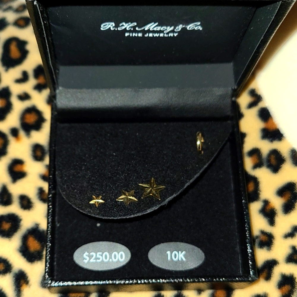 10kt Gold Earrings